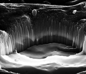 43_attrito Dalla serie Blow up. Immagini dal Nanomondo
