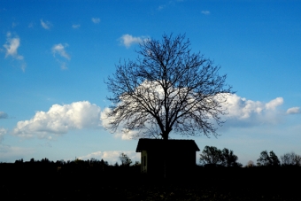 Omaggio a Magritte