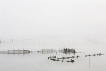 Chioggia