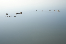 serie â€œMargherita di Savoia â€“ Salinaâ€ # 1