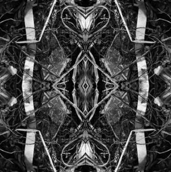 Array