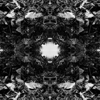 Array