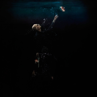 under the sea web