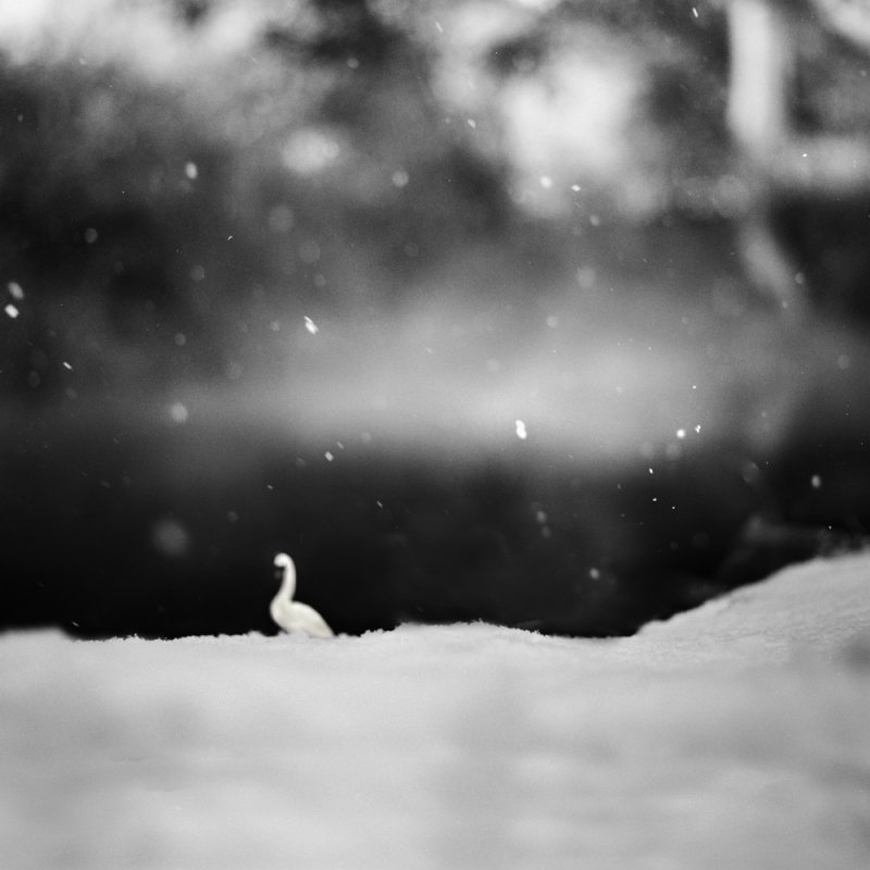 Andrea Buzzichelli 