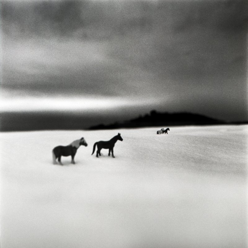 Andrea Buzzichelli 